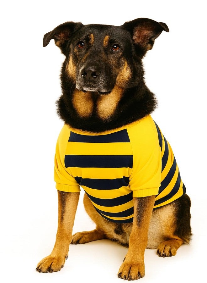 Zigly Lifestyle Bumble Stripe Dog Sweatshirt | Soft Cotton Pullover for Dogs | Warm, Lightweight, Easy-Wear Pet Clothing for Small to Large Breeds Size Small - Image 3